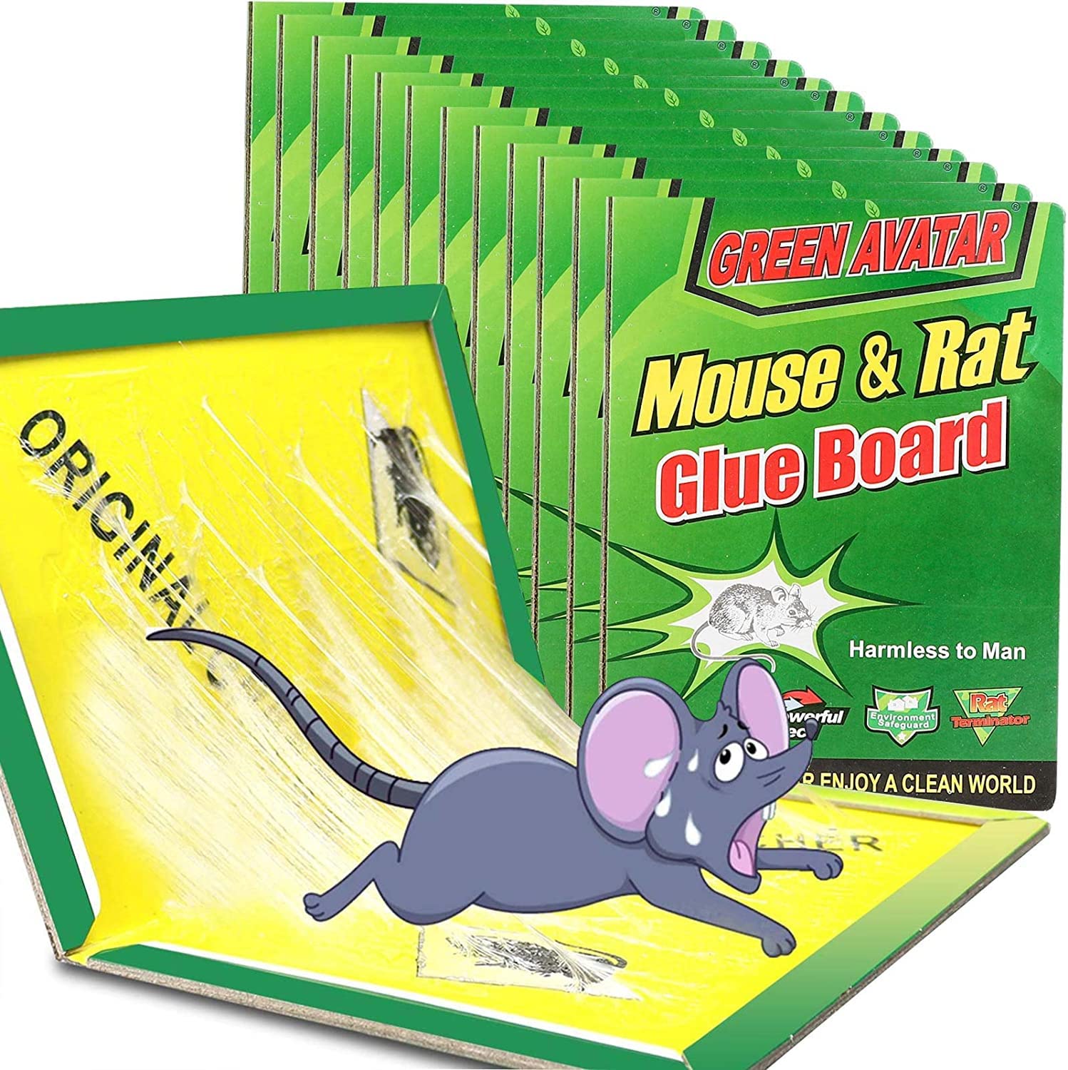 rat gum